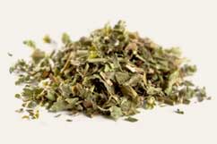 [ Info: lemon balm ] ~ from Monterey Bay Herb Company