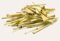 [ Info: Lemongrass ] ~ from Monterey Bay Herb Company