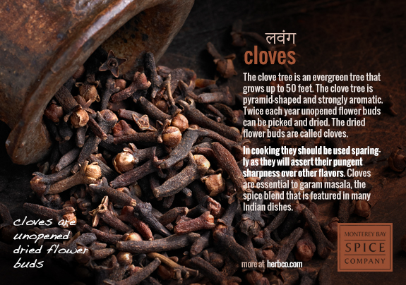 [ Indian Spices - Cloves ] ~ from Monterey Bay Herb Company