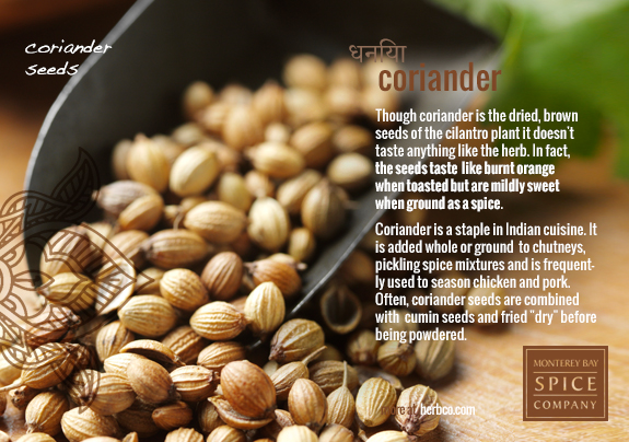 [ Indian Spices - Coriander ] ~ from Monterey Bay Herb Company