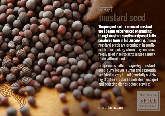 [ Indian Spices - Mustard Seed ] ~ from Monterey Bay Herb Company