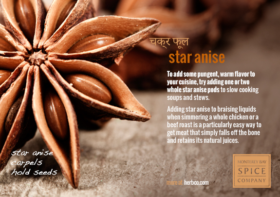 [ Indian Spices - Star Anise ] ~ from Monterey Bay Herb Company