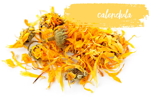 [ Late-Summer Herbal Skin Care Formulas: Calendula ] ~ from Monterey Bay Herb Company