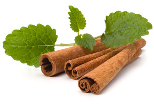 [ Cinnamon (and Mint) ] ~ from Monterey Bay Spice