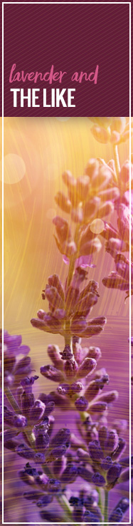 [ Late-Summer Herbal Skin Care Formulas: The Right Stuff ] ~ from Monterey Bay Spice