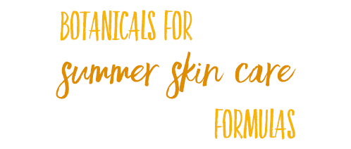 [ Late-Summer Herbal Skin Care Formulas ] ~ from Monterey Bay Herb Company