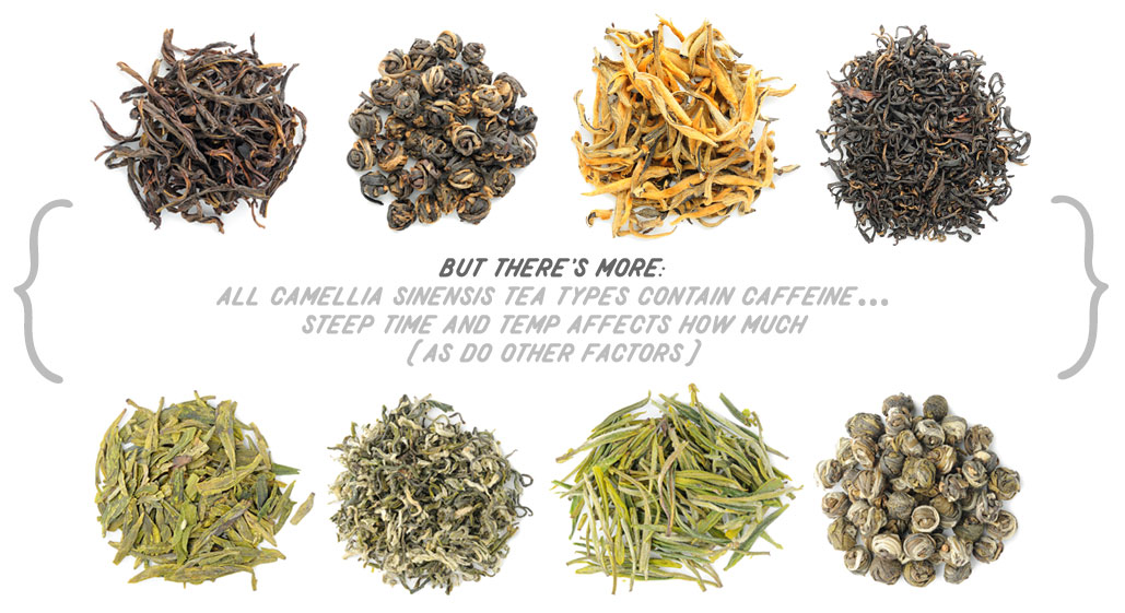 [ Good to Know: All Tea Types come from Camellia  ] ~ from Monterey Bay Spice