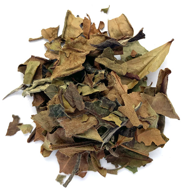 BUY White Tea in BULK
