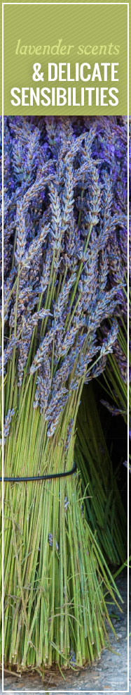 [ The Lure of Lavender: Scents and Delicate Sensibilities ] ~ from Monterey Bay Spice