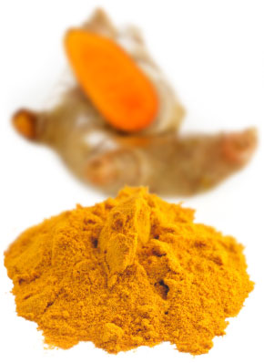 [ turmeric ] ~ from Monterey Bay Spice