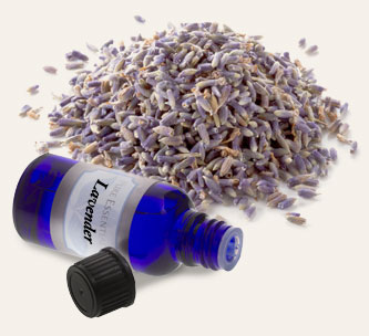 Bulk Lavender Essential Oil ~ Monterey Bay Herb Co