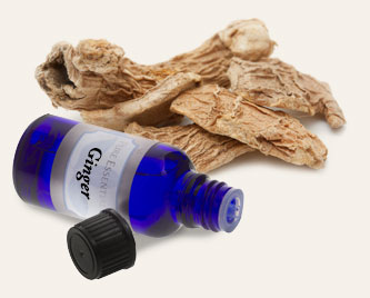 Bulk Ginger Essential Oil ~ Monterey Bay Herb Co