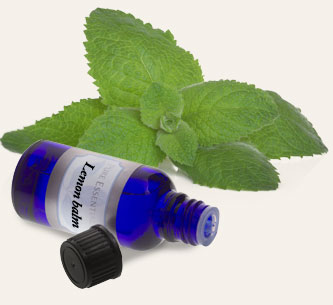 Bulk Lemon Balm Essential Oil ~ Monterey Bay Herb Co