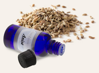 Bulk Anise Essential Oil ~ Monterey Bay Herb Co