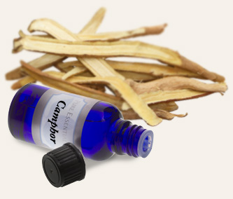 Bulk Camphor Essential Oil ~ Monterey Bay Herb Co
