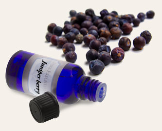 Bulk Juniper Berry Essential Oil ~ Monterey Bay Herb Co
