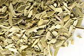 Olive leaf, c/s image