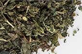 Nettle Leaf, Organic Cut-and-Sift