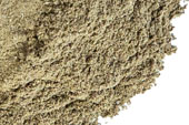 Basil Powder, Organic image