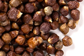 Grains of Paradise, whole image