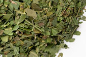 Neem leaf, c/s image