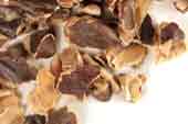 Carob bean pods, c/s image