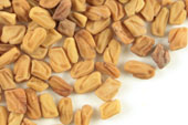 Fenugreek seed, whole image