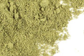 Lemon balm, powder, organic image