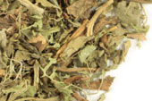 Stevia leaf, c/s image