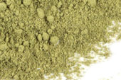 Gymnema, powder image
