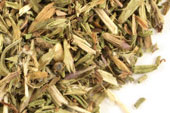 Hyssop herb, c/s image