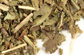 Plantain leaf, c/s image
