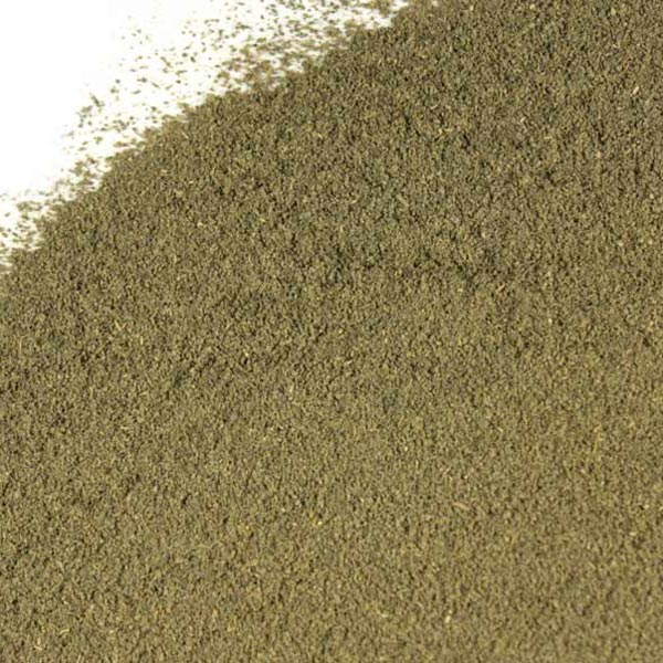 Bulk Green Tea Powder Monterey Bay Herb Co