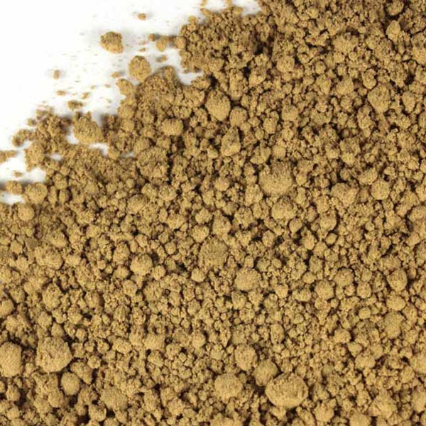 Ginkgo leaf, powder