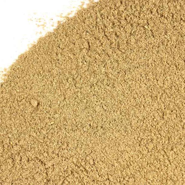 Gravel root, powder, wild crafted