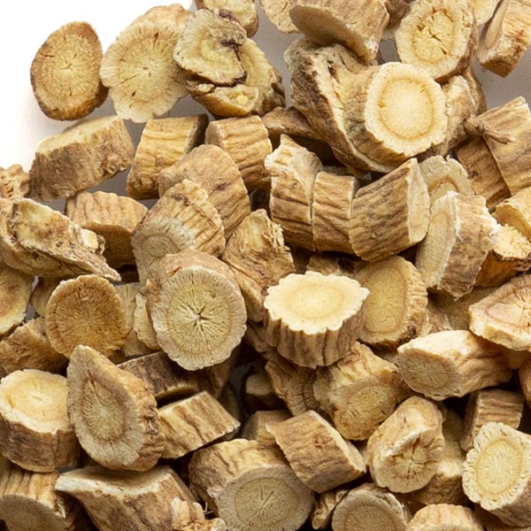 Astragalus root, c/s