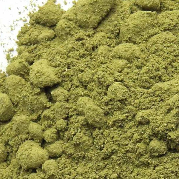 Moringa leaf, powder organic