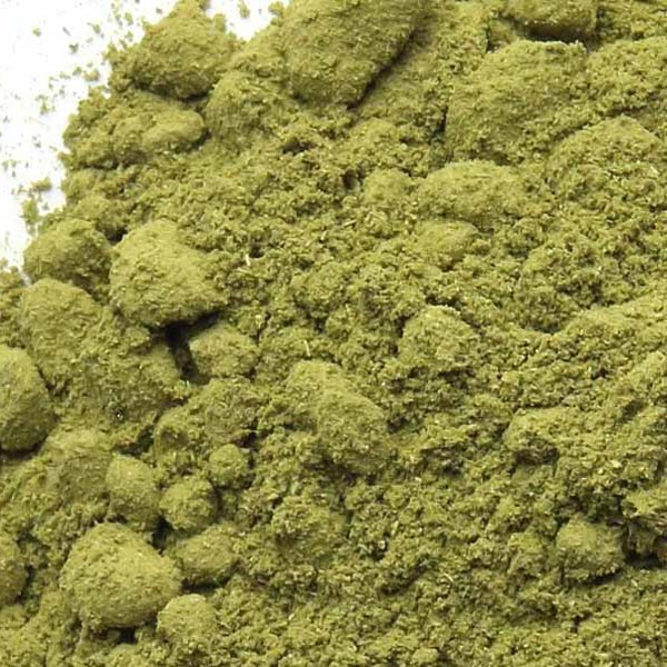 Moringa leaf, powder