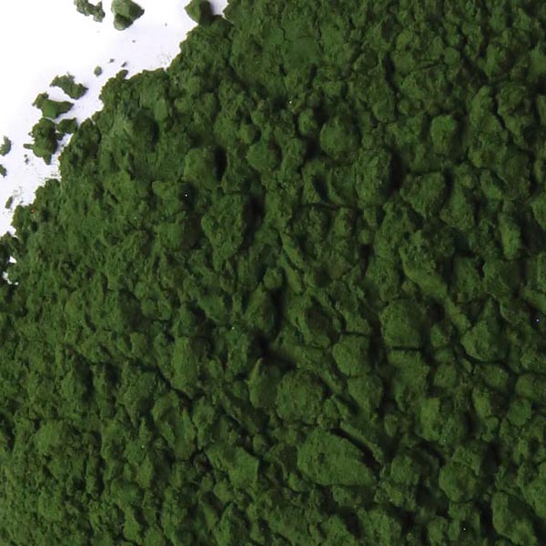 Buy Chlorella Powder (Auxenochlorella Pyrenoidosa) in Bulk
