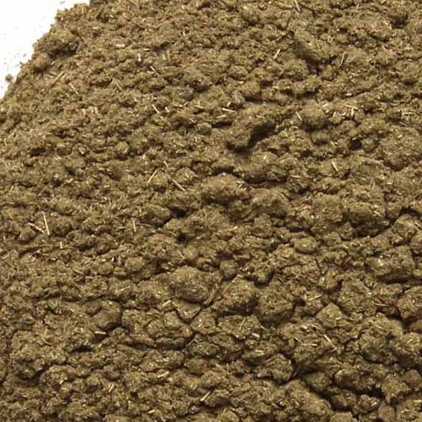 Jiaogulan herb, powder