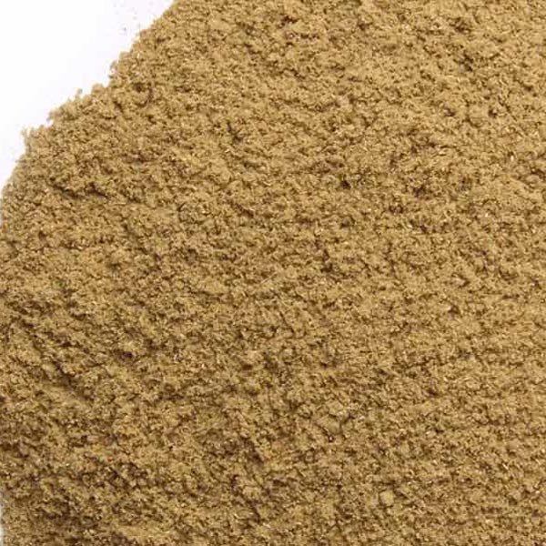 Bacopa monnieri, powder