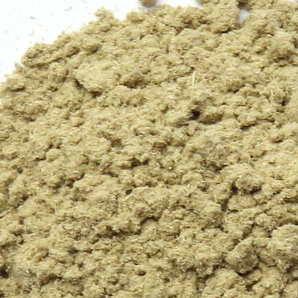 Blessed thistle herb, powder