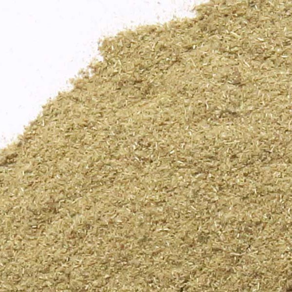 Echinacea purpurea root, powder