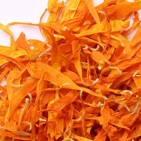 Marigold (calendula) orange, petals