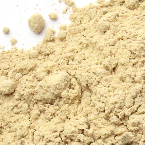 Mushroom Maitake, powder
