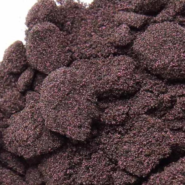 Bilberry fruit