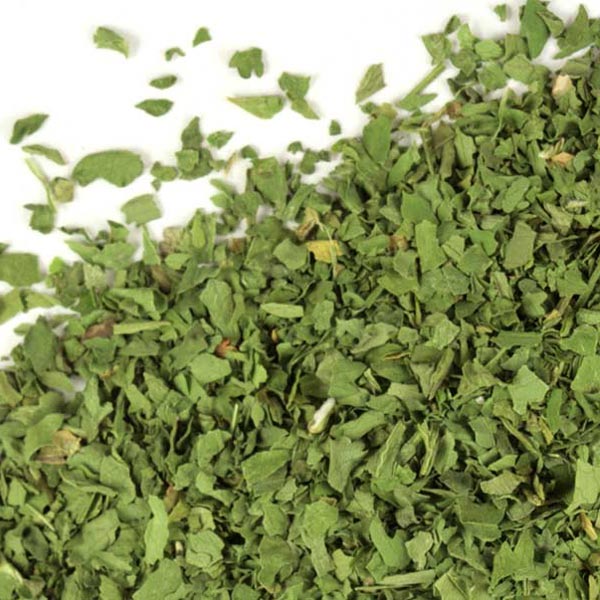 Cilantro, c/s