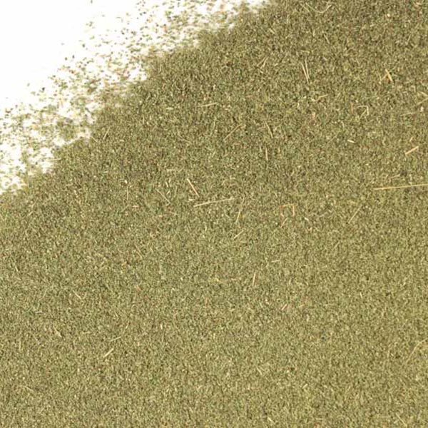 Stevia leaf, powder