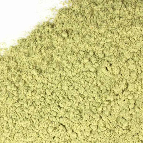 Olive leaf, powder