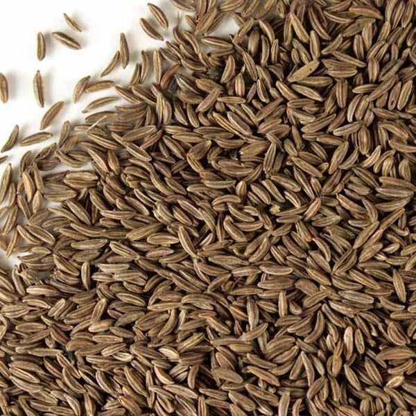 Caraway seed, whole
